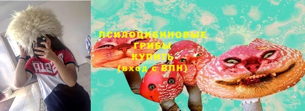 дмт Балахна